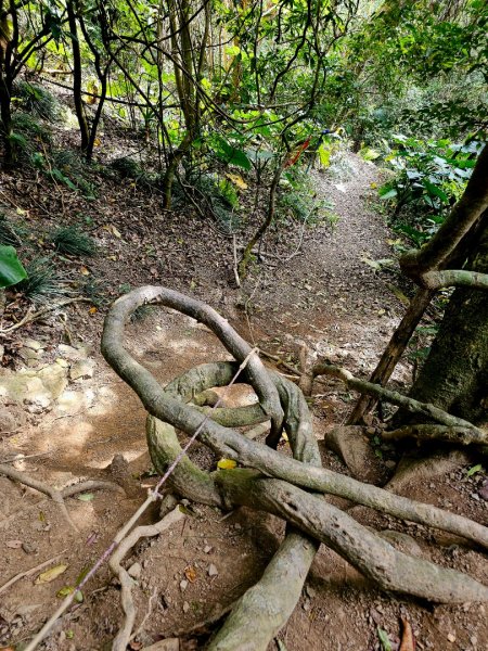 女仍山-小百岳#79-屏東縣獅子鄉2732104