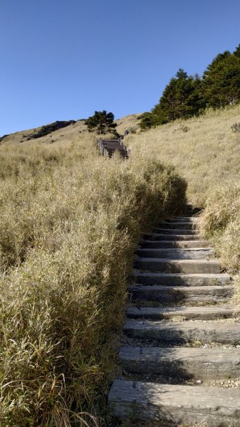 合歡山東峰891803