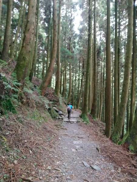 觀霧（榛山，檜山，野馬瞰山，觀霧瀑布）636028