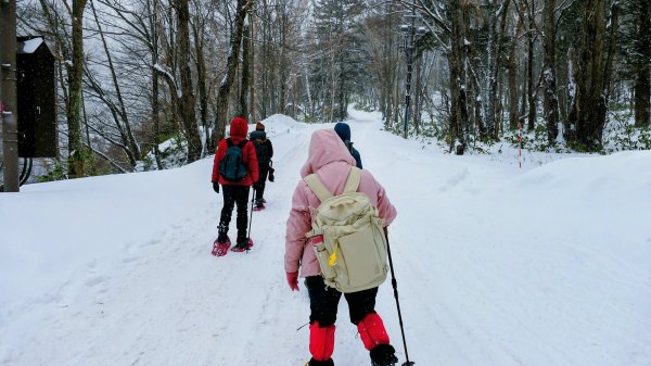 銀色冬眠的上高地2981751