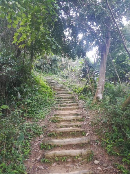 土城清水大尖山/朱財華紀念步道834010