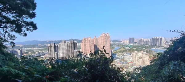 新店獅頭山(小獅山)步道2694738