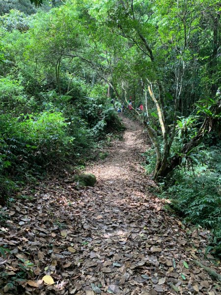 滿滿階梯小百岳-馬那邦山1373218