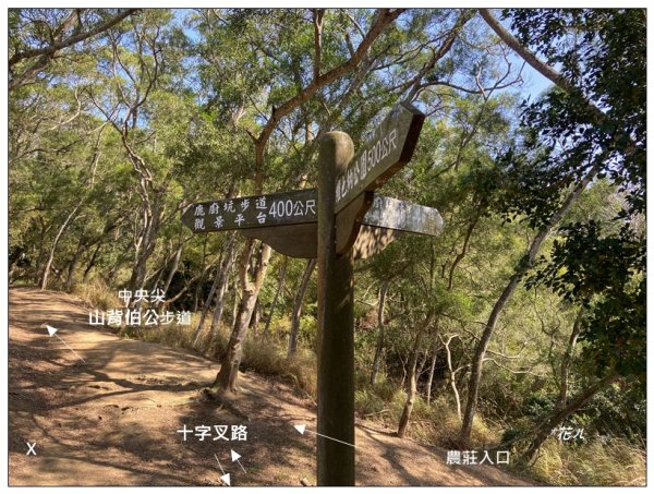 中央尖、山背伯公步道O型路線2708771