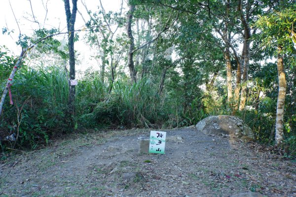 桃園 復興 牌子山、金平山2952203