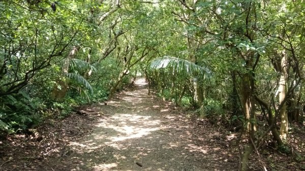 基隆市海興森林步道-情人塔-老鷹岩-情人湖登山步道O型3092726