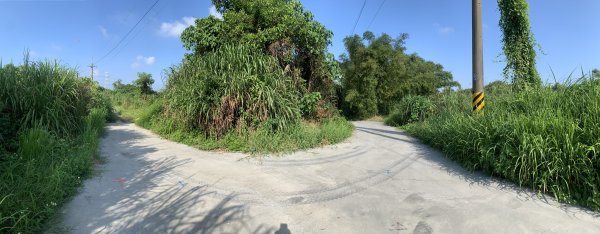 20250929台南草坪埔山-牛息山-竹腳湖山西北峰2899770