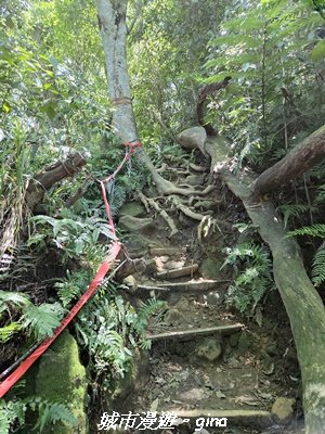 【桃園大溪】溪洲山步道(福山巖登山步道)3057147