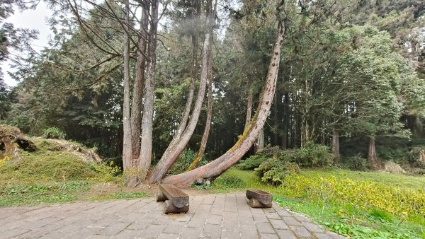 神阿縱走~台灣難抵極~大塔山2971525