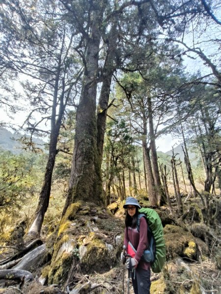 20240322 馬博8天縱走~第七天，馬西山，喀西帕南山2471509