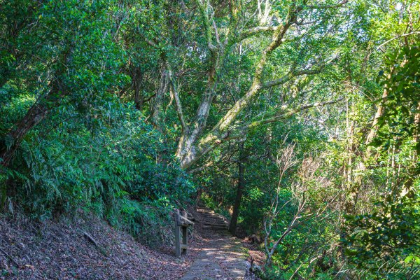 [台北]紗帽山2956587