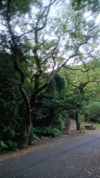 仁山植物園1747601