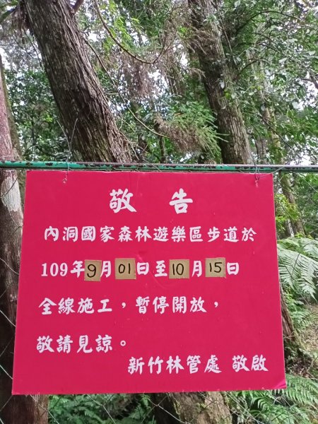 【山林美境尋寶石】內洞森林浴步道1124895