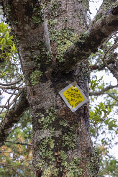 谷關七雄_屋我尾山2977013