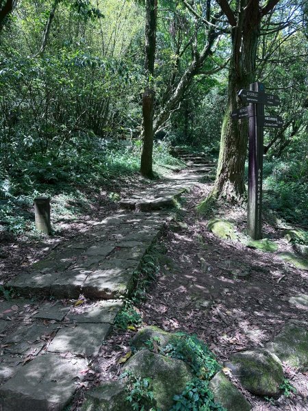 台北大縱走第一段2766810