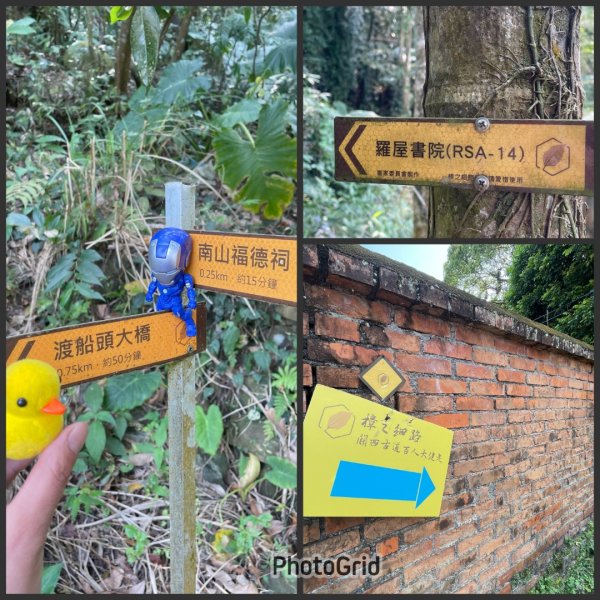 樟之細路-尋寶💎任務1-53019783