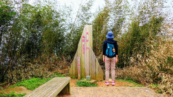 雲嘉五連峰2948639