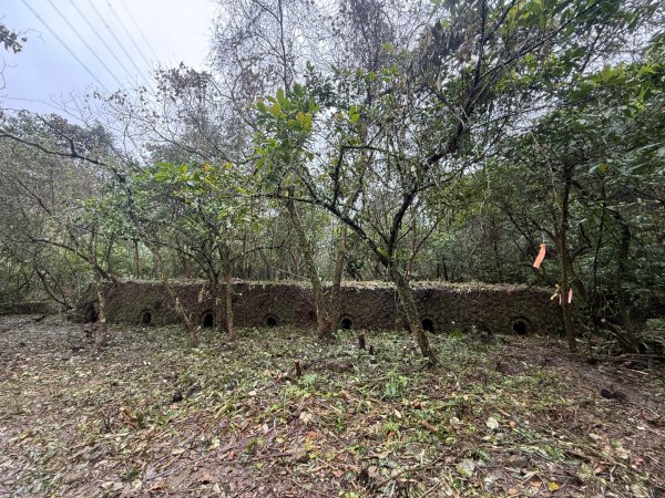 三林一后一紙及武山煤礦文化遺址8字行2991123