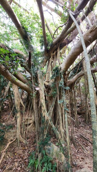 【恆春縱走】斯卡羅縱走2769717