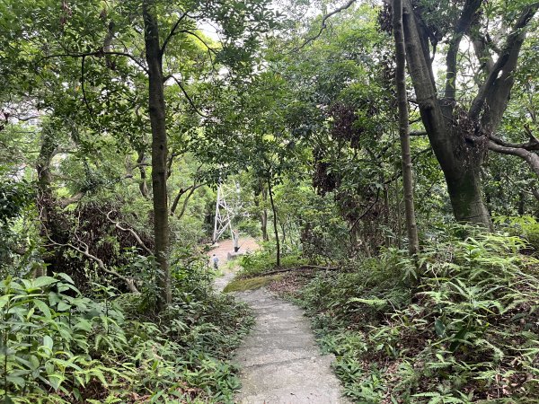 [微笑山線_第五段] 2025_0705 天上山系_國旗嶺2830068