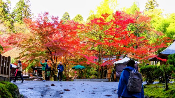 岩手縣中尊寺2930148