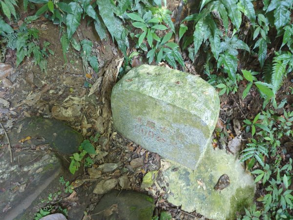 2025.11.15－鳴鳳古道2942994