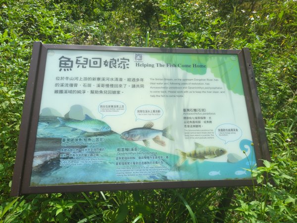 2025.08.09－新寮瀑布2856184