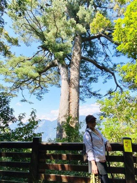 谷關七雄-馬侖山1116746