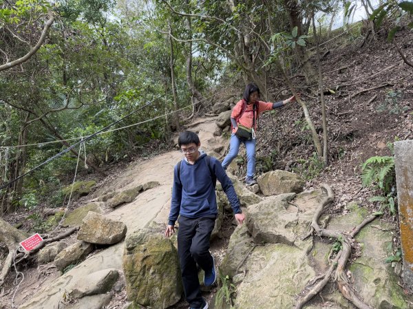 鳶山彩壁 202501312705570