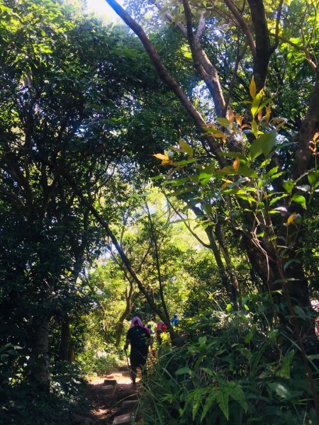 軍艦岩吃吃喝喝爬山趣632963