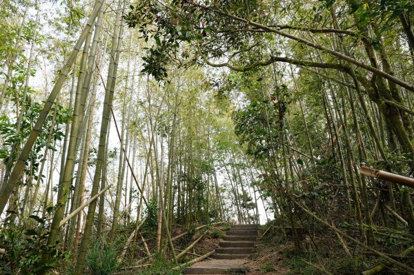 嘉義 梅山 太平山、梨子腳山、馬鞍山、二尖山、大尖山、碧湖山2748990