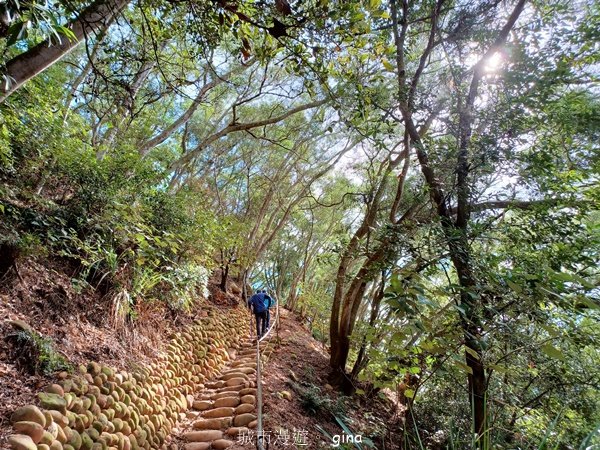 【苗栗三義】朗朗晴天爬山趣。 No35小百岳~火炎山、南鞍古道O走2419172