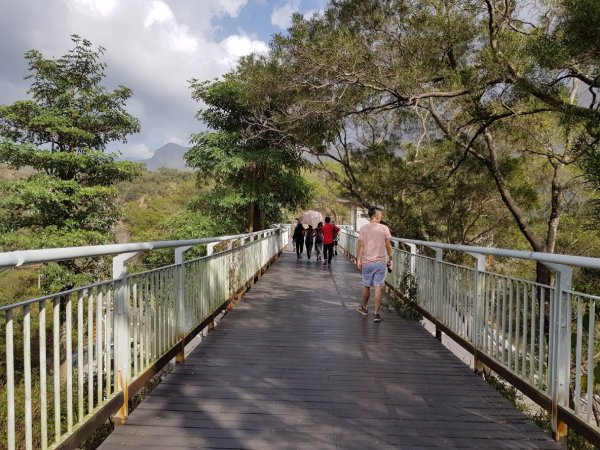 龍頭山步道1018637
