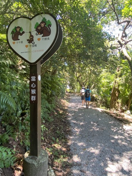 《陽明山秘境健行｜翠峰瀑布 × 天母古道 夏日涼爽路線》2852227