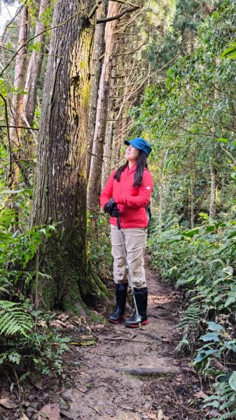 油羅山202503092731877