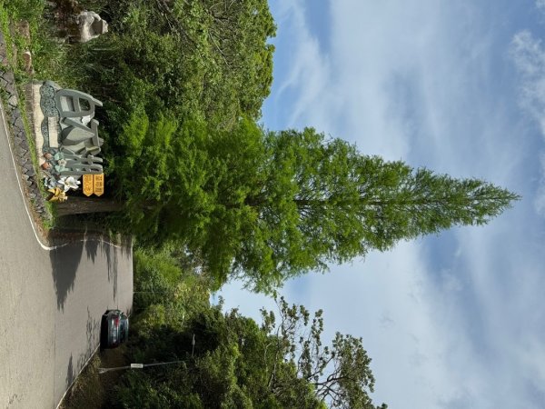 2025/04/13 小百岳第008「大崙頭山」2760275