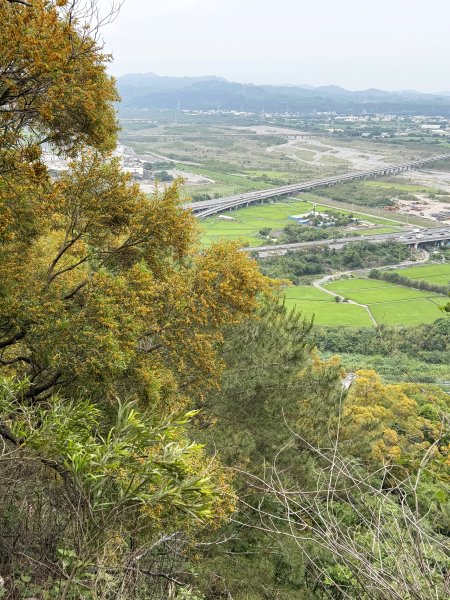 火炎山縱走(泰安-火炎-慈濟-三義)2026.05.093055820