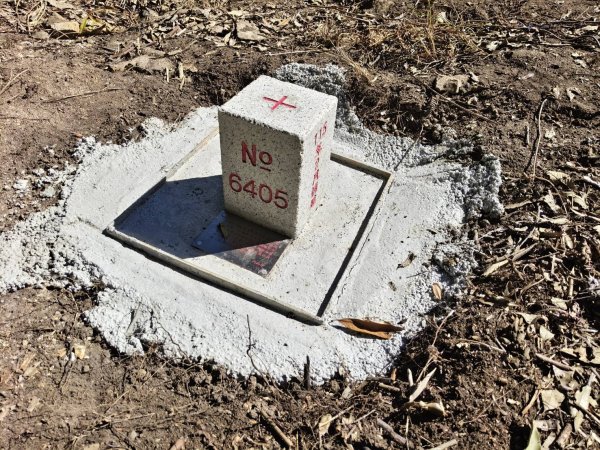 20260215台中南投裡冷尾敏山，又稱王辨山3000580