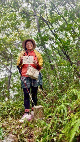 關西大東坑山/草長難過  順訪東安古橋2930502