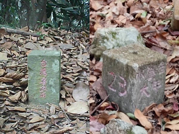 探勘台中和平沙蓮山西南峰及砂連山