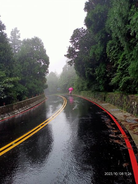 百拉卡公路人車分道、環七星山人車分道百拉卡公路入口站至冷水坑段、大港墘公園【走遍陽明山、健康大穀東】2307543
