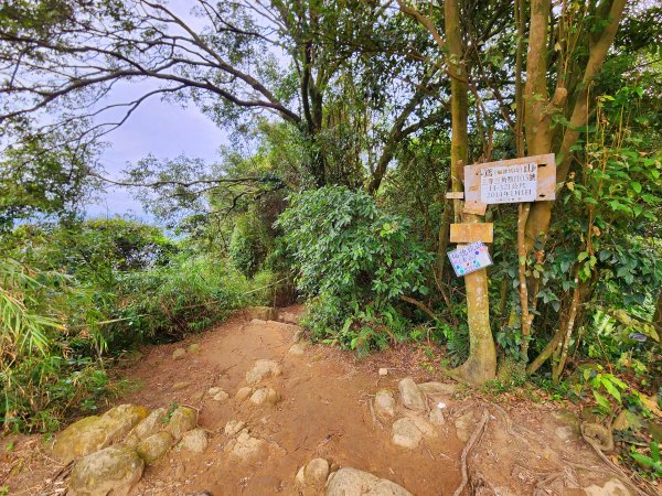 小百岳集起來-鳶山2181117