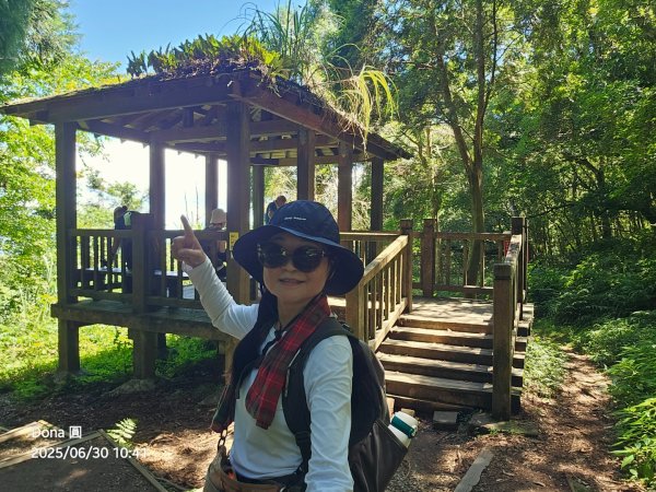 桃園小百岳東眼山(H1212m)2844625