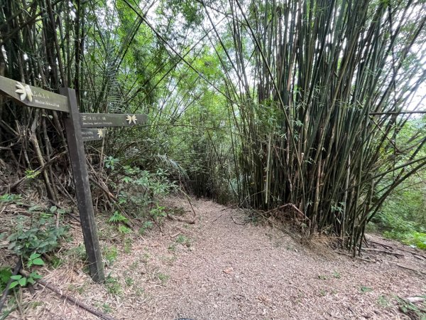 20230821_烏山-外澳古道2762708