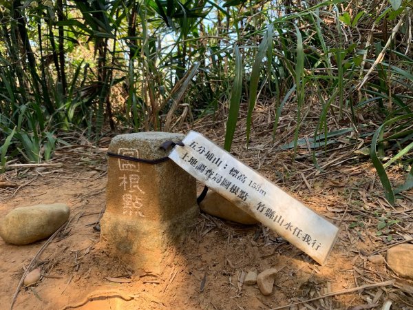 蓮華山古道群_飛龍登山步道、戴熙古道、採茶古道、進香古道、迴龍古道2063326