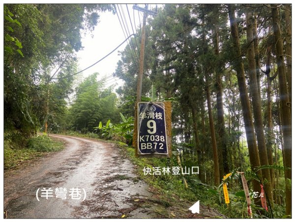 樟空倫山、大崙頭山、貓冬望山、民眾坪山 連走2839031