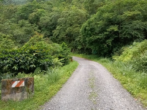 雙溪區大埤遺址東林寺+大埤古道+572峰去回2784161