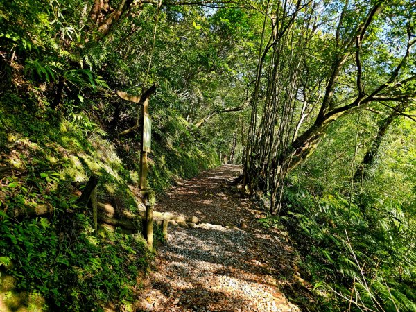 (五分山系)望古瀑布-2025微笑山線大縱走尋寶集章任務2855262