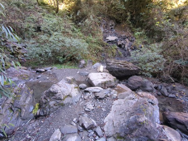 2026.01.03－鎮西堡B區神木群2981126