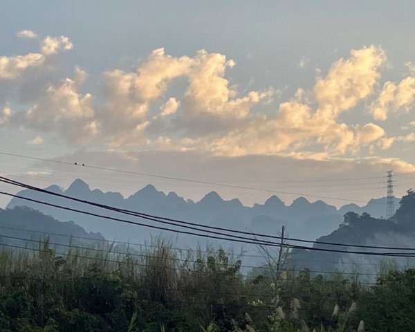 賞梅快閃-2天ko南投小百岳七座➕二條百大2979852